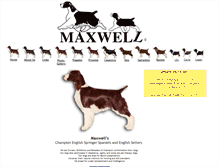 Tablet Screenshot of maxwellskennel.com